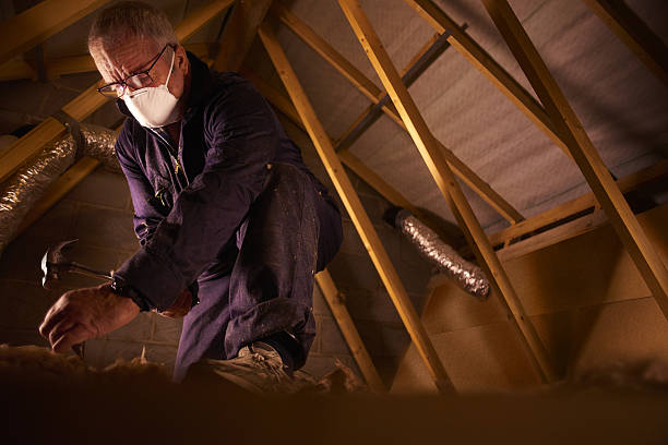 Best Commercial Insulation in St Petersburg, FL
